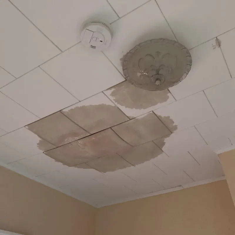 Ceiling Water Damage Repair in Greenwood County, KS