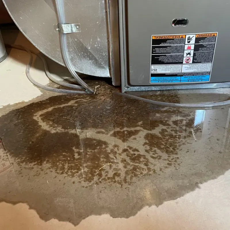 Pipe Burst and Leak Restoration in Greenwood County, KS