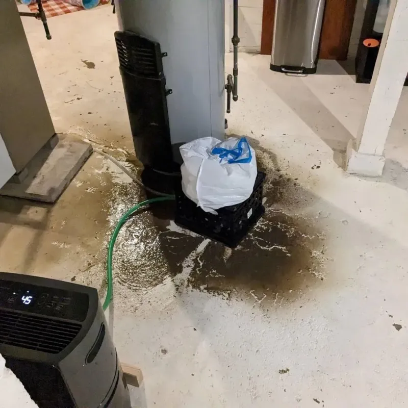 Sewage Backup Cleanup Service in Greenwood County, KS